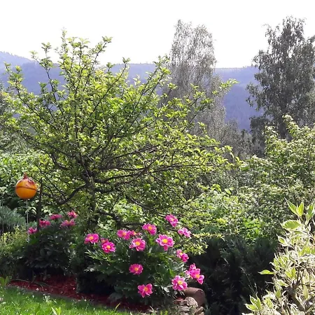 Harlachberg Blick 1 *