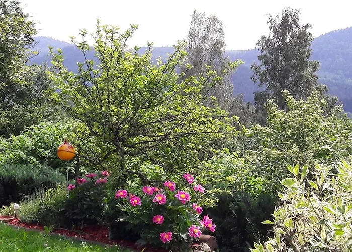 Harlachberg Blick 1 *